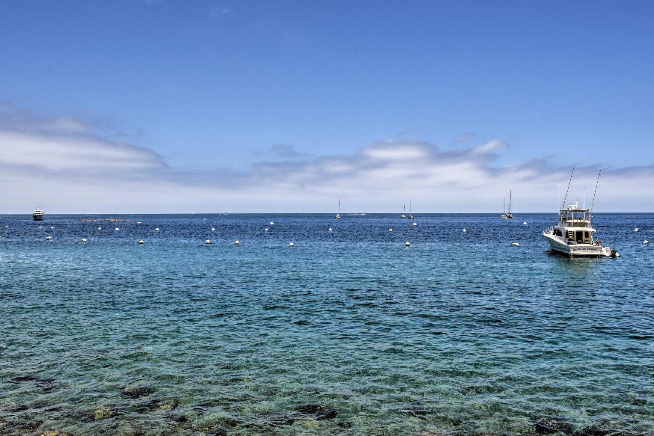 Catalina Island Cottage - Walk To Main St And Beach! Avalon Eksteriør bilde